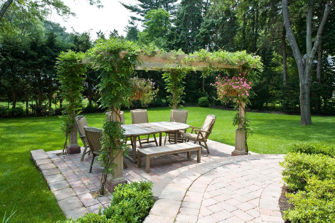 How to Keep Your Backyard Cool During Hot US Summers 🌞🌿