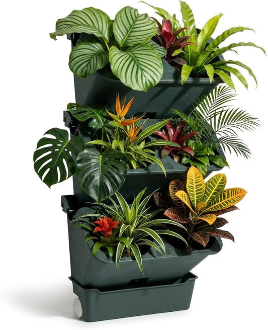 3-Tiers Vertical Wall-Mounted Planter by LZLUCKCOME