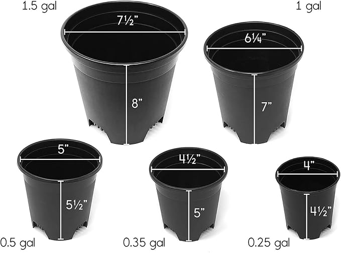1 Gallon Nursery Pot Plastic Planters for Outdoor Indoor Plants Gardening Flower Pots 10-Pack 6 Inch Plant Pots with Drainage Holes