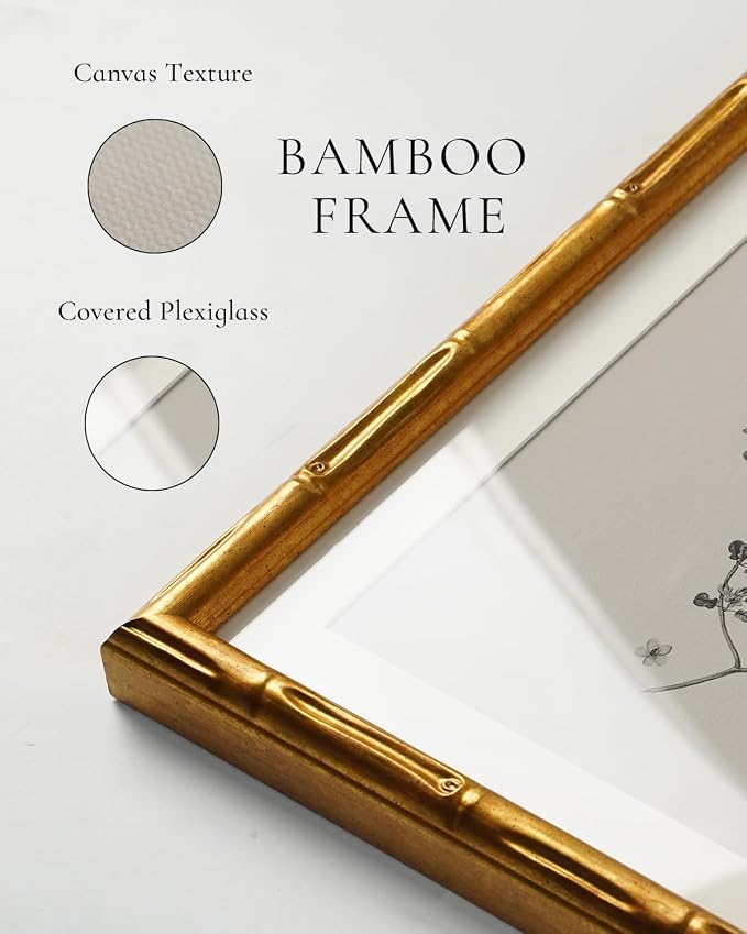 InSimSea Gold Bamboo Framed Canvas Wall Art, Vintage Spring Bird Paintings - Image 5