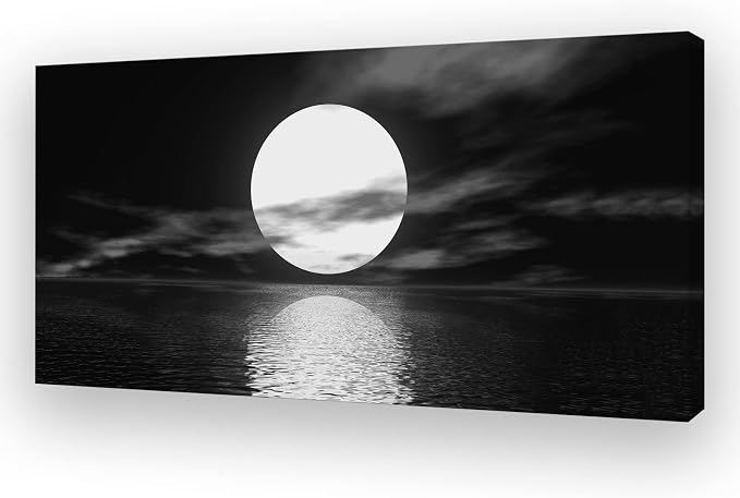 Cao Gen Decor Art S06462 Wall Art Canvas Sea White Full Moon in Night Picture by Cao+Gen+Decor+Art
