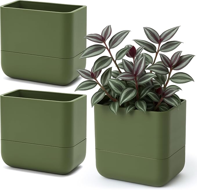 Phoenix Vine 6.5 Inch Wall Mounted Self-Watering Planter Pot by Phoenix+Vine