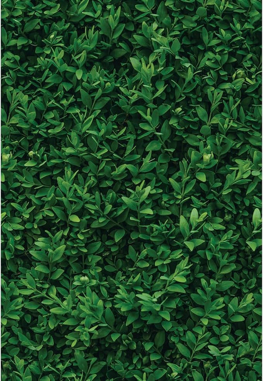 Main Street Peel and Stick Wallpaper Eco-Friendly Sheets 12 Pack, 11 X 16 Inch by MainStreet