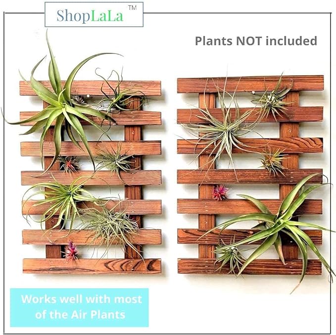 ShopLaLa Wall Planter - Image 6