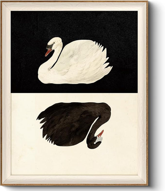 VIYYIEA Framed Wall Art for Living Room, Swan Canvas Prints, Vintage Home Decor by VIYYIEAART