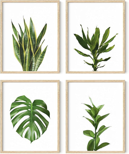 Plant Photo Set of 4-8x10 Framed Beige by HausandHuesArtPrints