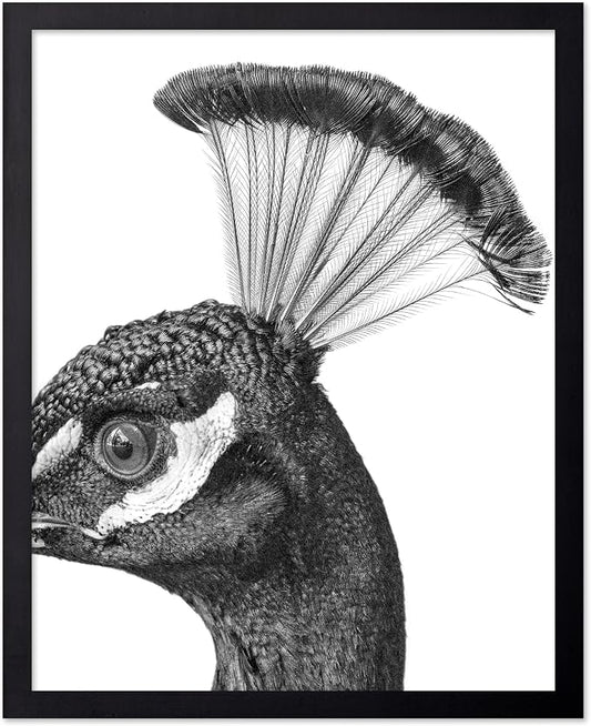 Poster Master Vintage Peacock Poster by PosterMaster