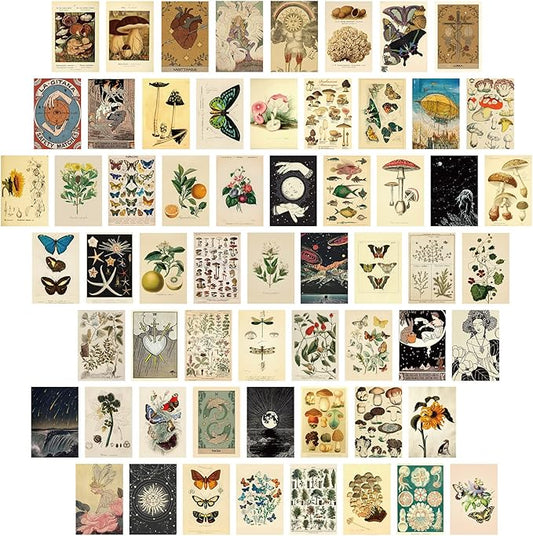 Containlol 60 Pcs Vintage Wall Collage Kit Maximalist Paintings Art Prints by Containlol