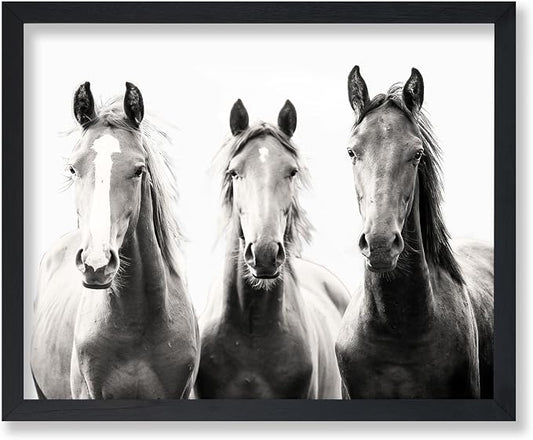 Poster Master Horse Poster by PosterMaster
