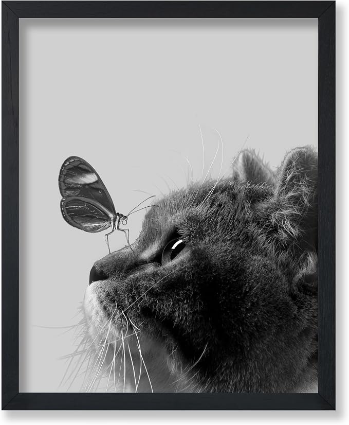 Poster Master Butterfly on Cat Poster by PosterMaster