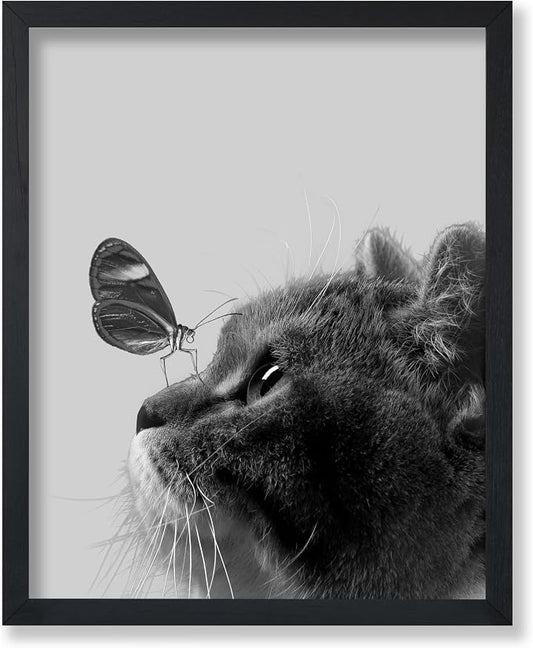 Poster Master Butterfly on Cat Poster by PosterMaster