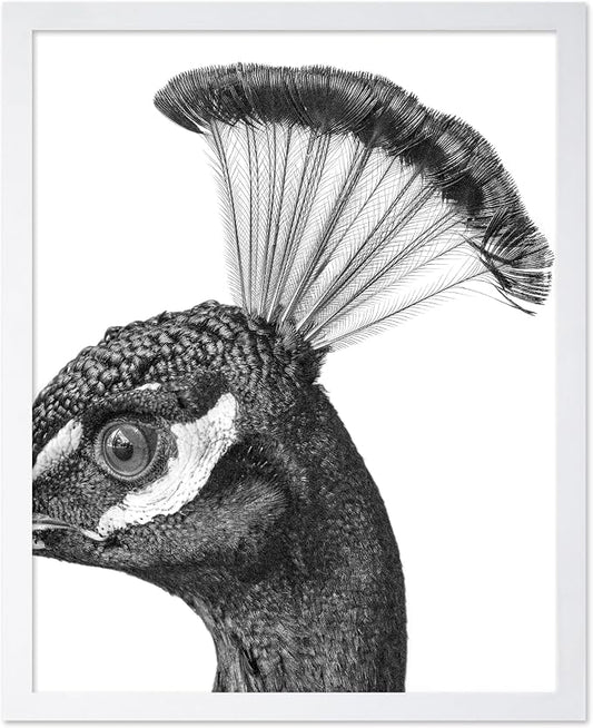 Poster Master Vintage Peacock Poster by PosterMaster