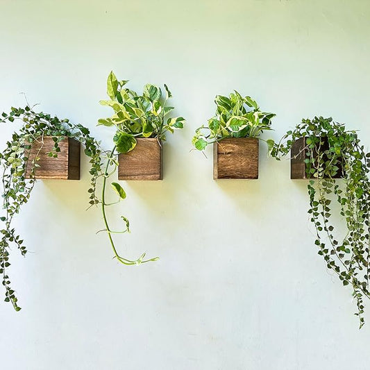LaLaGreen Wood Planter Boxes Small Square Wooden Wall Mounted Flower Pot by L%C3%A1L%C3%A1Green