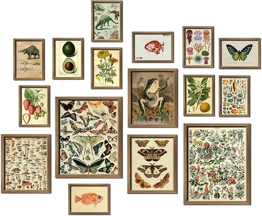 ANERZA 16 PCS Vintage Wall Art Decor, Botanical Cottagecore Wall Collage Kit by ANERZA