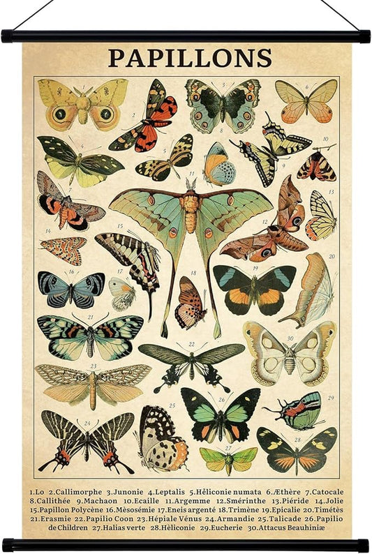 Geyee Butterfly Vintage Poster Wall decor Rustic Hanging Art Illustrative by Geyee