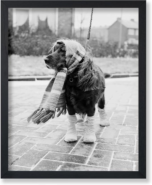 Poster Master Vintage Dog Dressed by PosterMaster