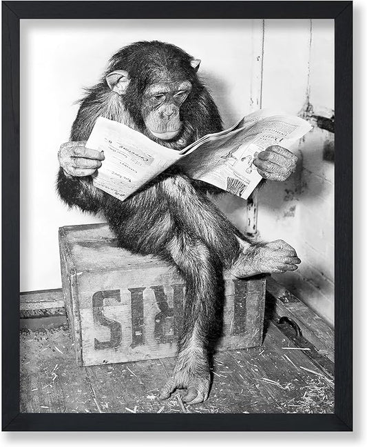 Poster Master Vintage Photograph Poster by PosterMaster
