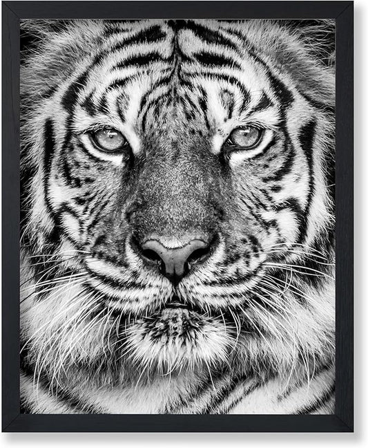 Poster Master Vintage Tiger Face Print by PosterMaster