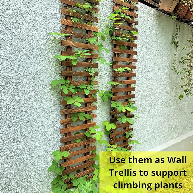 ShopLaLa Wall Planter – Hanging Planter - Image 9