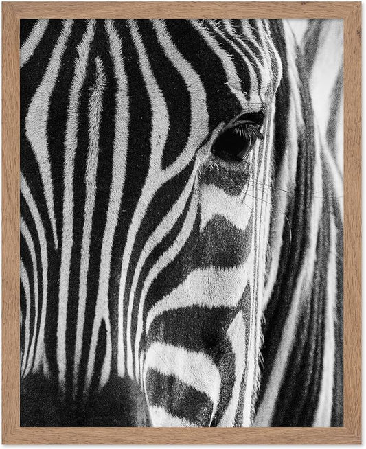 Poster Master Photograph Poster by PosterMaster